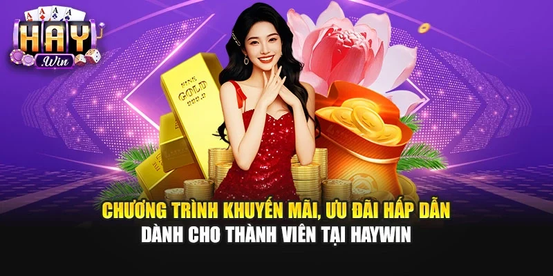 Chương trình khuyến mãi, ưu đãi hấp dẫn dành cho thành viên tại Haywin