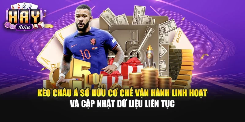 Kèo châu Á sở hữu cơ chế vận hành linh hoạt và cập nhật dữ liệu liên tục
